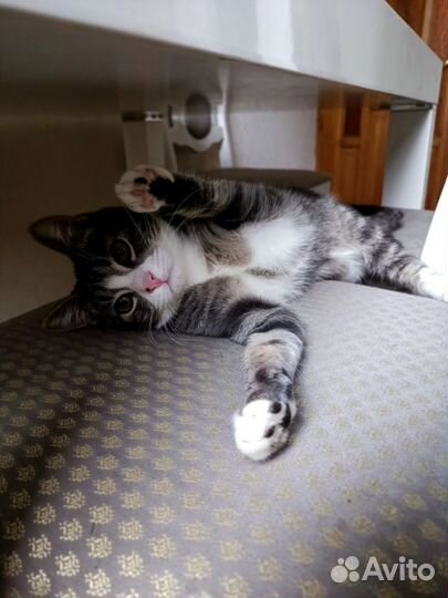 Великолепный нос