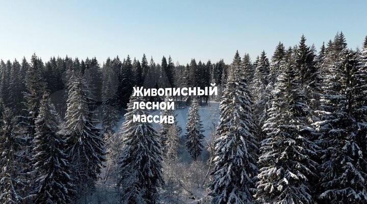 Участок 8 сот. (ИЖС)