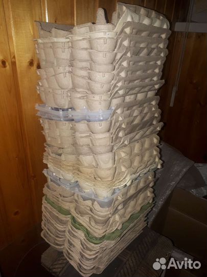 Ячейки для яиц