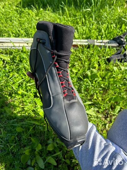 Беговые лыжи