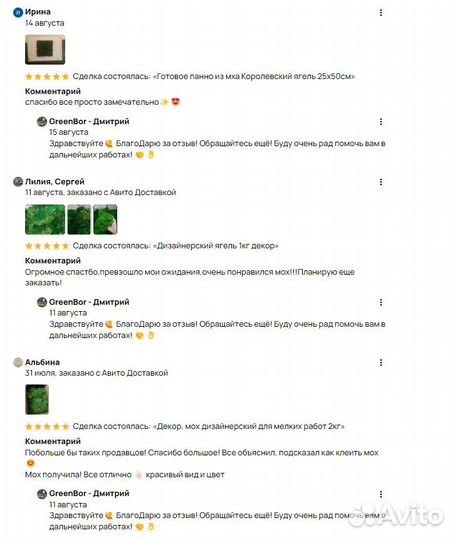 Вечно зеленый мох натуральный для интерьера