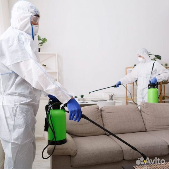 Дезинфекция тараканов и клопов