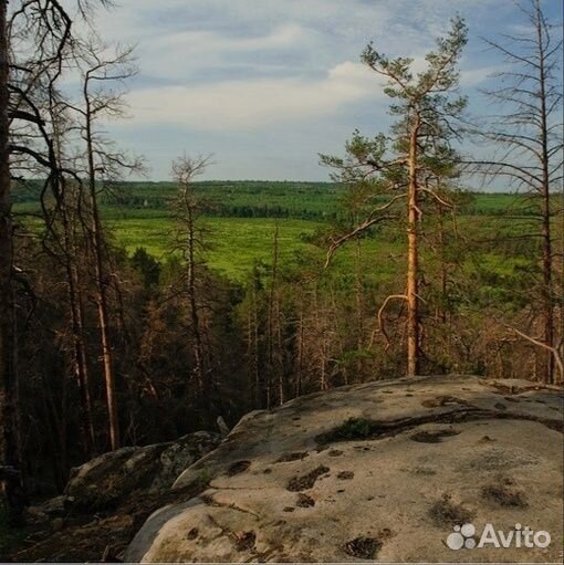 Рачейский бор и Каменный лабиринт