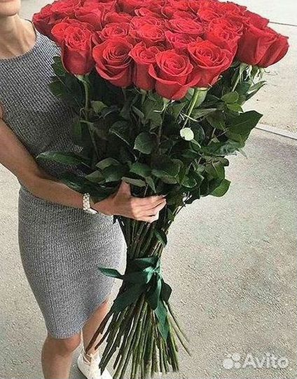 Розы высокие 150 160 170 180 190 200см
