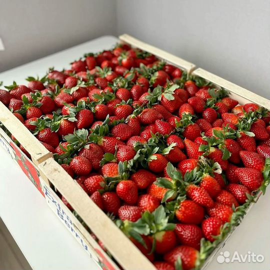 Клубника свежая ягода