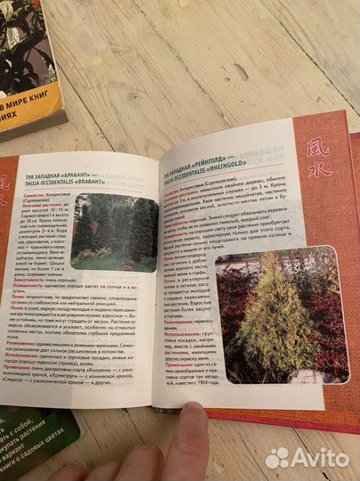 Книги о растениях комнатных овощах садовых