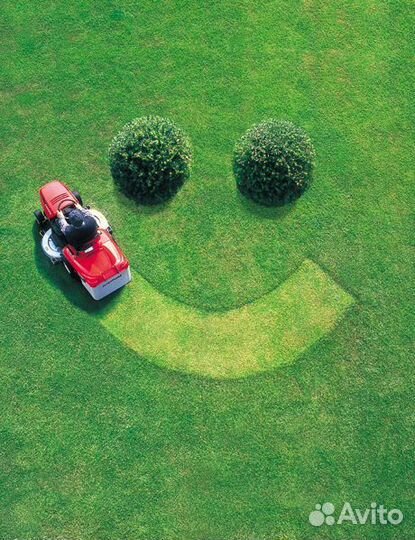 Газонная трава Низкорастущая ECO семена газона 5кг