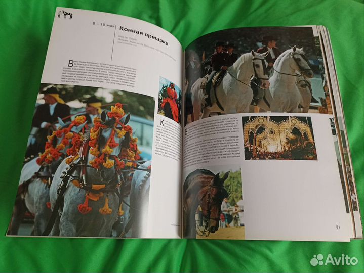 Книги о лошадях. Мир лошадей. Ваша лошадь