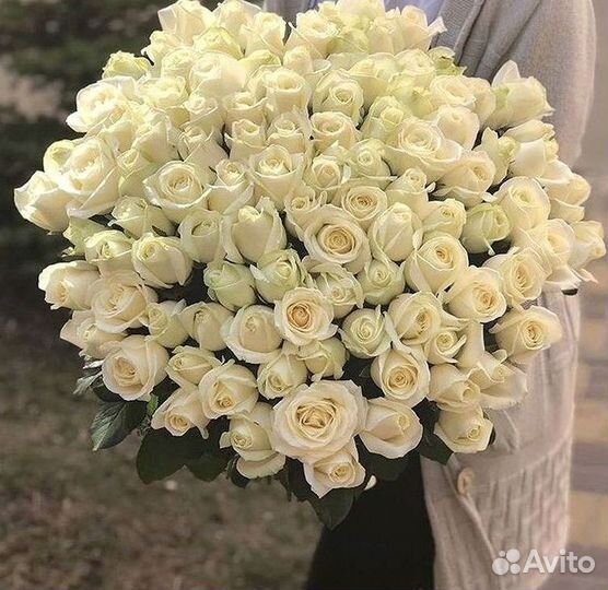 Высокие розы Гигантские розы 110