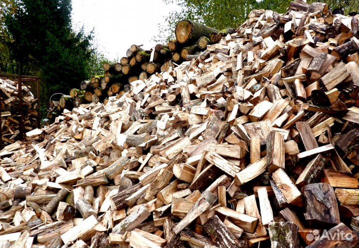 Дрова со Всеволожска