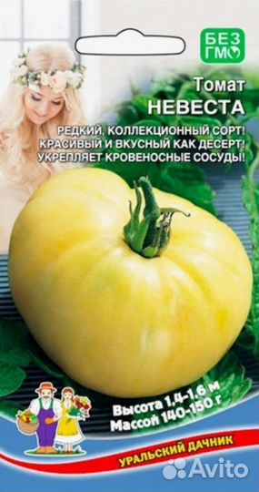 Рассада помидор