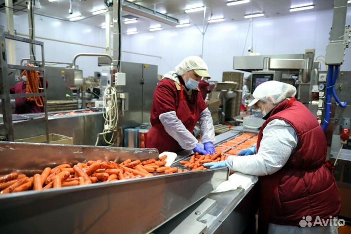Колбасном заводе с проживанием и питанием