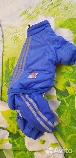 Одежда для собак