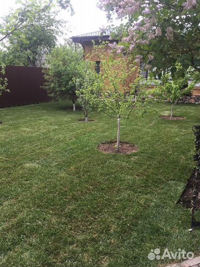 Укладка и продажа газона