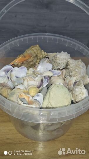 Морские ракушки, камни, градусник, кормушка