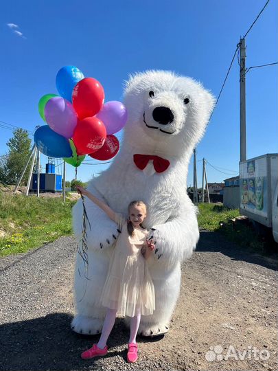 Поздравление от 3м белого медведя аниматор