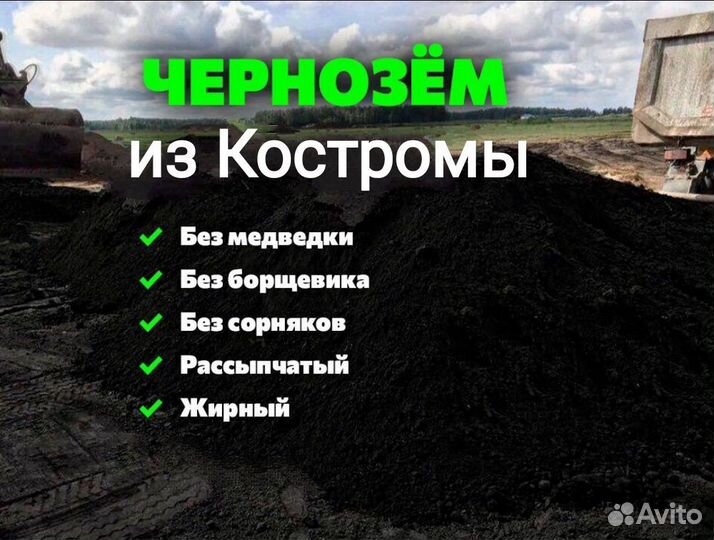 Чернозем Костромской