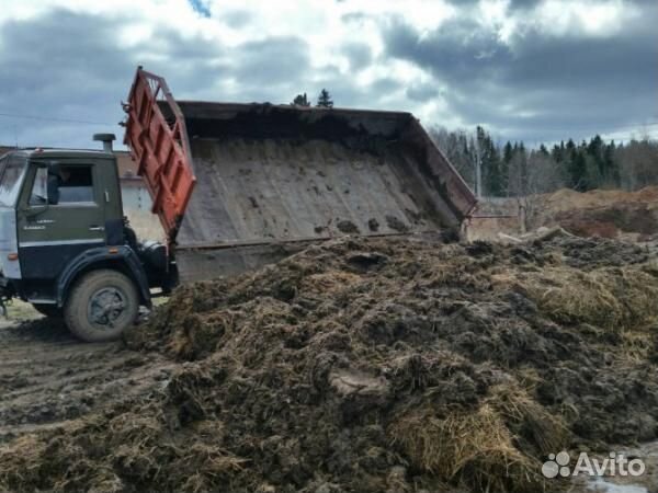 Конский навоз