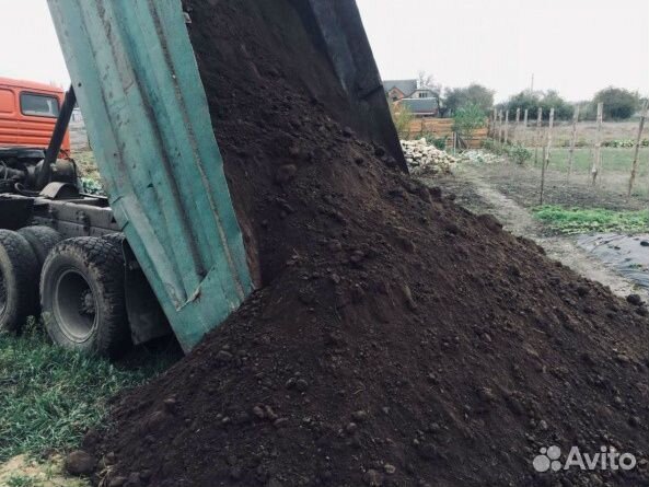 Пгс