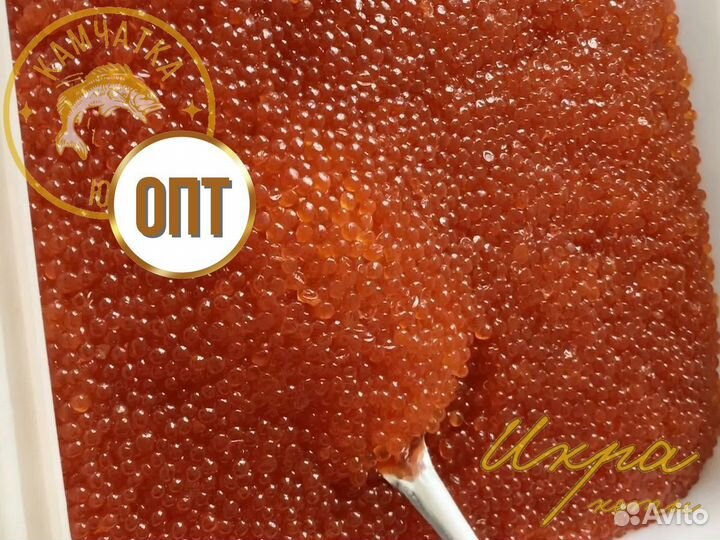 Икра кеты Оптом