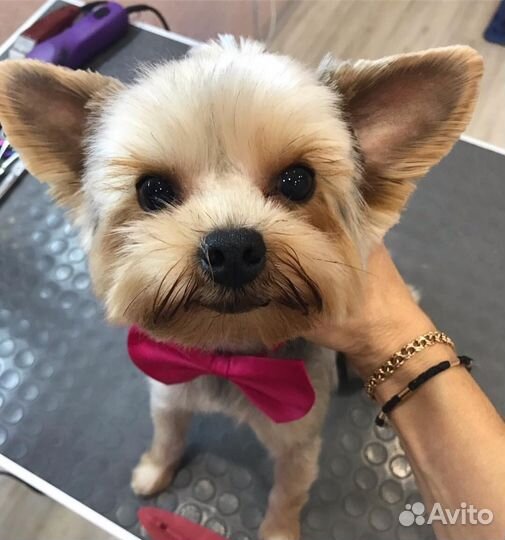 Йорк для вязки