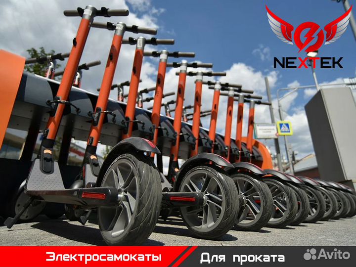 Электросамокаты для проката