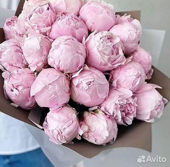 Пионы Розы Доставка