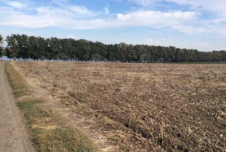 Участок 4,9 га (СНТ, ДНП)