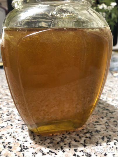 Мёд молодой. Луговой