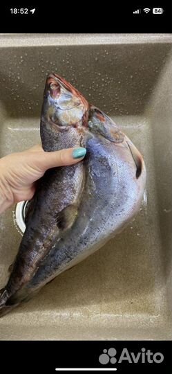 Горбуша икряная неразделаная гост 1кг