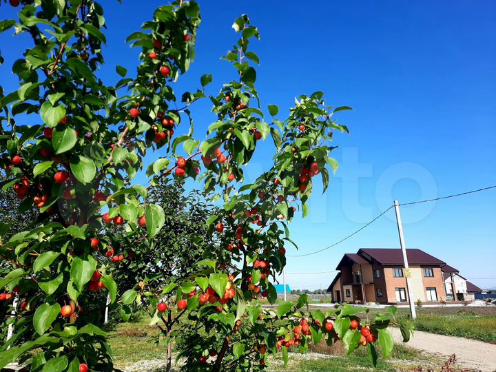 Участок 8,8 сот. (ИЖС)