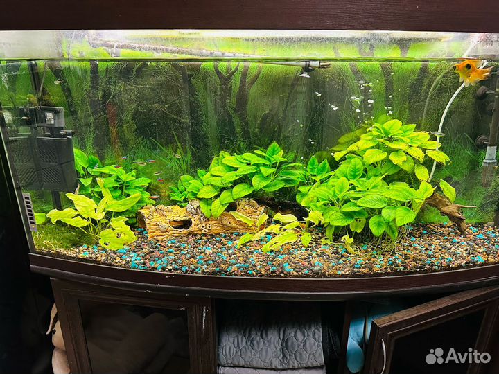 Аквариумный комплекс
