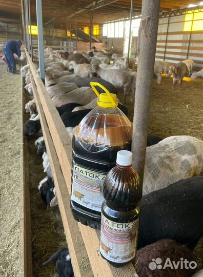 Патока меласса