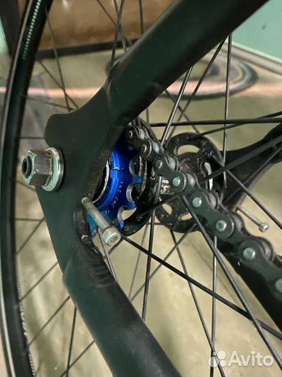 Фикс Синглспид Octopus Vulgaris 58 много допов