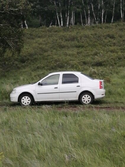 Renault Logan: фото владельца