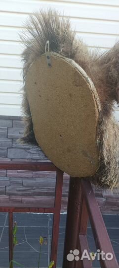 Чучело головы кабана