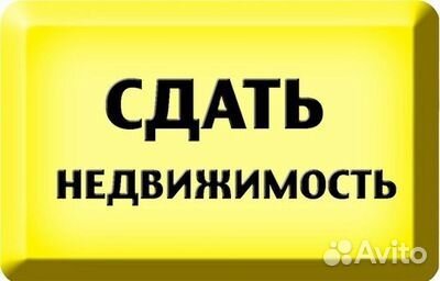 Сдать квартиру. Помощь риэлтора