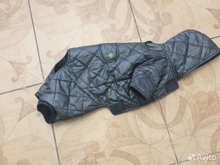 Одежда для собак