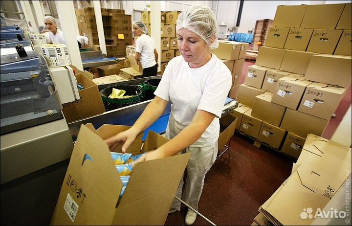 Укладчик на молокозавод