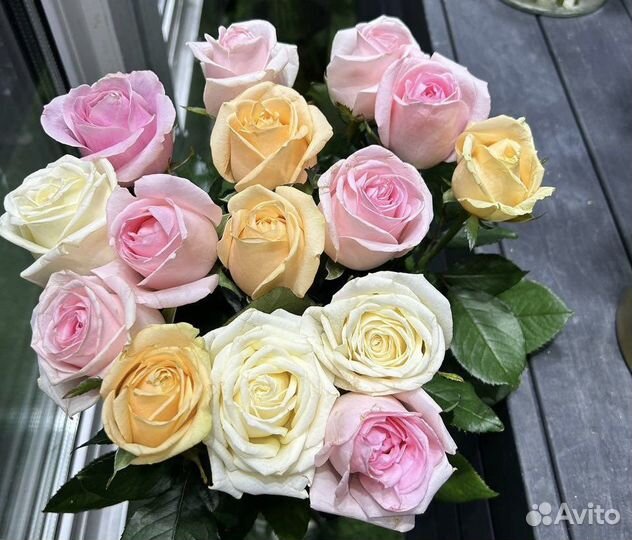 Букет роз 15 шт красивые и свежие цветы всегда