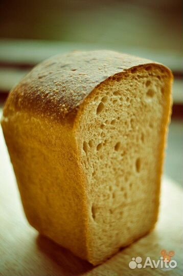 Хлеб на корм животным