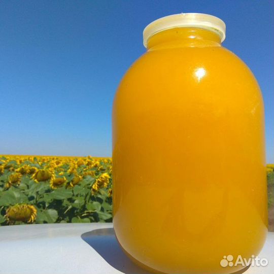 Мед подсолнечник