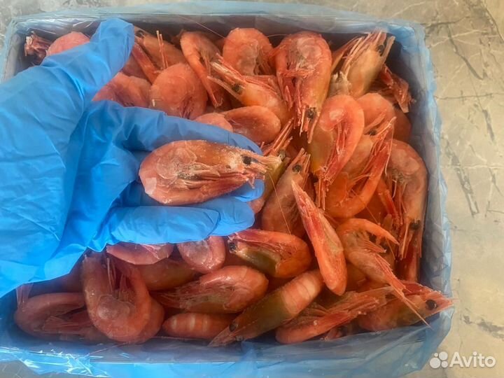 Креветки Северные 70 90