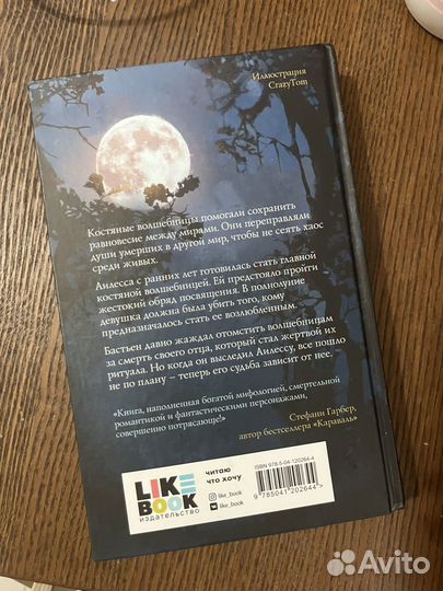 Кэтрин Парди - Луна костяной воошебницы