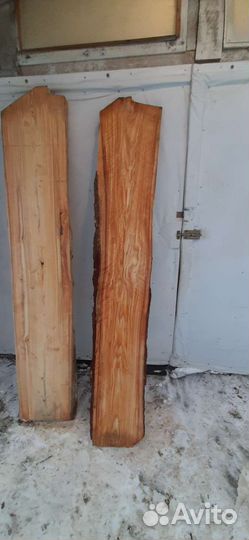 Слебы, спилы из дуба и лиственницы