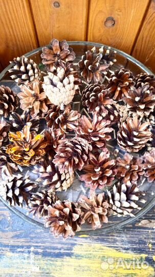 Шишки для рукоделия