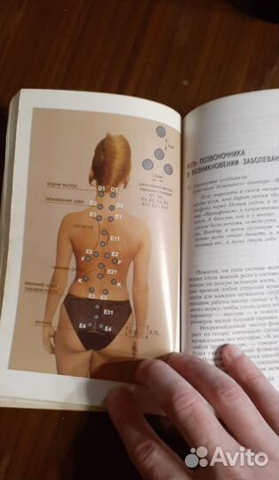 Книга Витафон