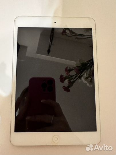 iPad mini 2