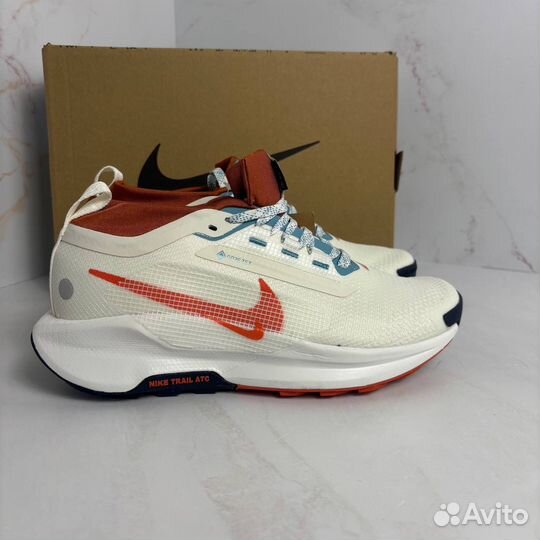 Кроссовки Nike Pegasus Trail 5 Gore tex