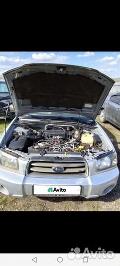 Subaru Forester 2.5 AT, 2002, 186 000 км